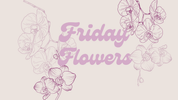 Friday Flowers - Home