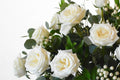 One Dozen Roses